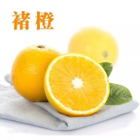 求購(gòu)褚橙，要1000箱