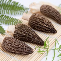 麗江野生羊肚菌