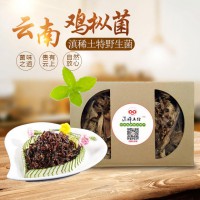 云南野生雞樅菌