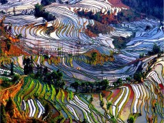 云南紅河元陽(yáng)哈尼族梯田的“意境民宿”