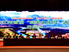 首屆“草果文化周”活動開幕 打響怒江新“名片”