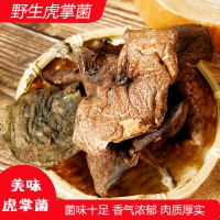 云南特產虎掌菌味美干貨野生食用菌營養(yǎng)豐富十大名菌100克燉雞