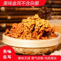 香格里拉野生金耳200克 腦耳云南黃耳銀耳桃膠皂角米伴侶甜品食材