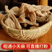 云南昭通小草壩野生天麻