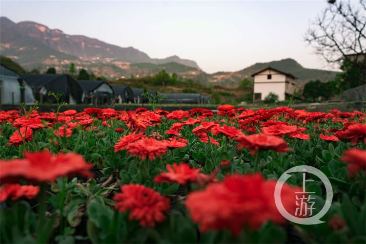 武隆艷山紅村農(nóng)旅融合項目1.jpg