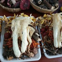 云南七彩菌湯包  98元/4包
