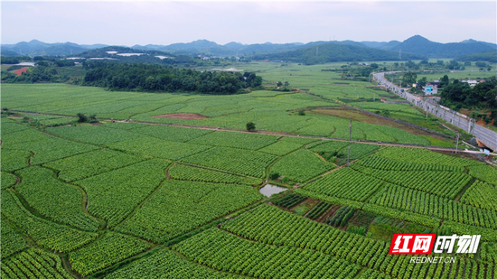 田園風(fēng)光美麗鄉(xiāng)村成為當(dāng)?shù)氐膿u錢樹 、聚寶盆。