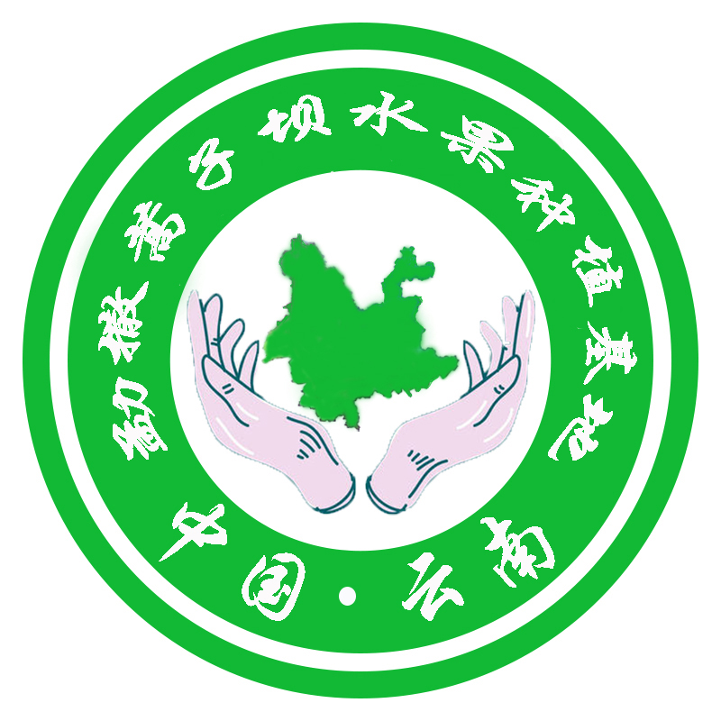 勐撒蒿子壩水果種植基地