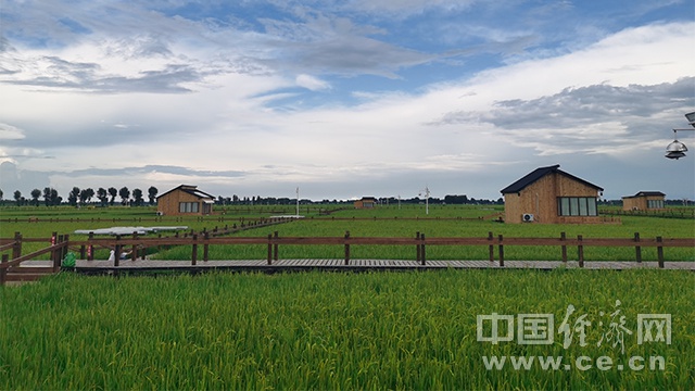 內(nèi)蒙古興安盟扎賚特旗好力保鎮(zhèn)的“稻夢星空”木屋民宿（經(jīng)濟(jì)日報-中國經(jīng)濟(jì)網(wǎng)記者 武曉娟/攝）