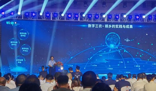 大會現場。 張合鵬 攝