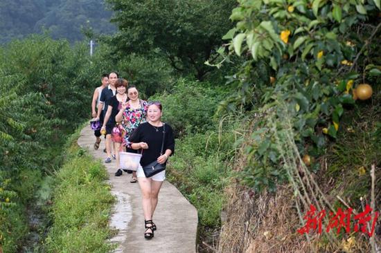 （8月11日，沅陵縣官莊鎮(zhèn)界亭驛村，游客從四季水果采摘園滿載而歸。）