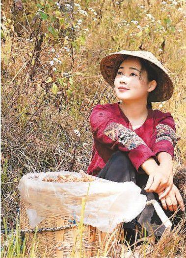  “滇西小哥”在山里采摘水果。受訪者供圖