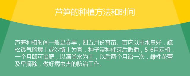 蘆筍的種植方法和時間