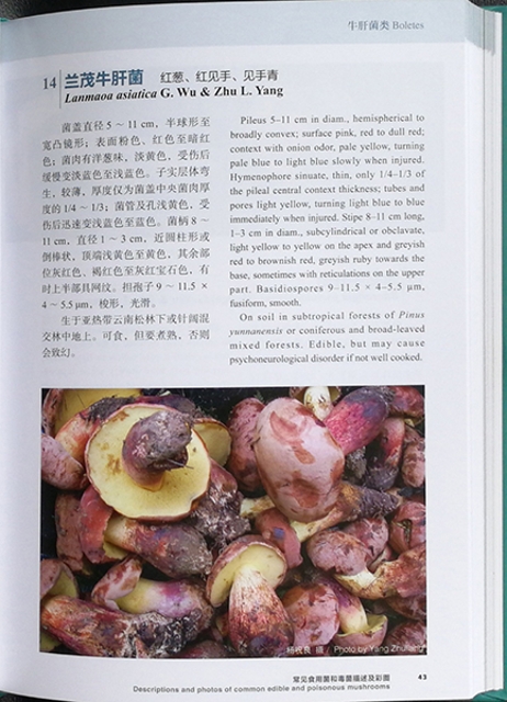 《中國西南地區(qū)常見食用菌和毒菌》出版