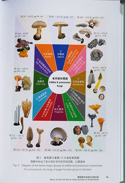 《中國西南地區(qū)常見食用菌和毒菌》出版