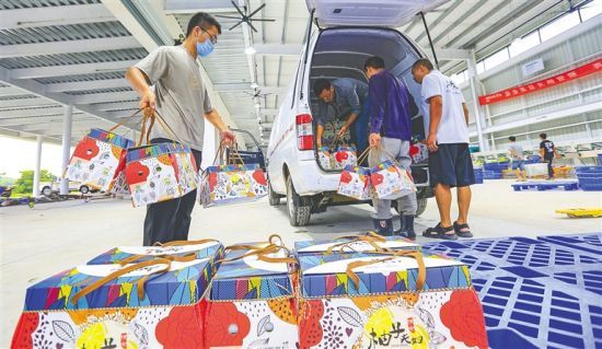 工作人員將打包的蜜柚發(fā)貨。陳元才 攝