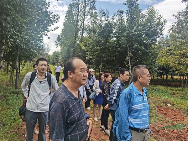 出席捐贈(zèng)儀式的嘉賓參觀苗木基地.jpg