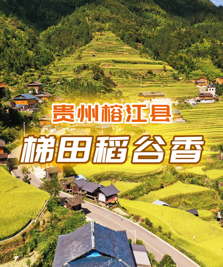 制作名單