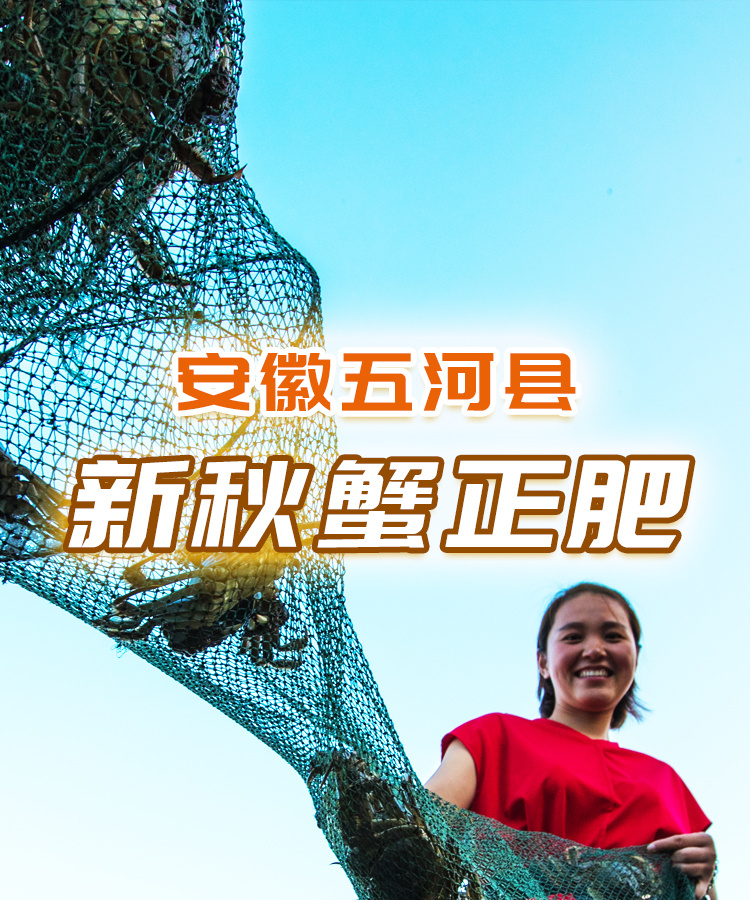 制作名單