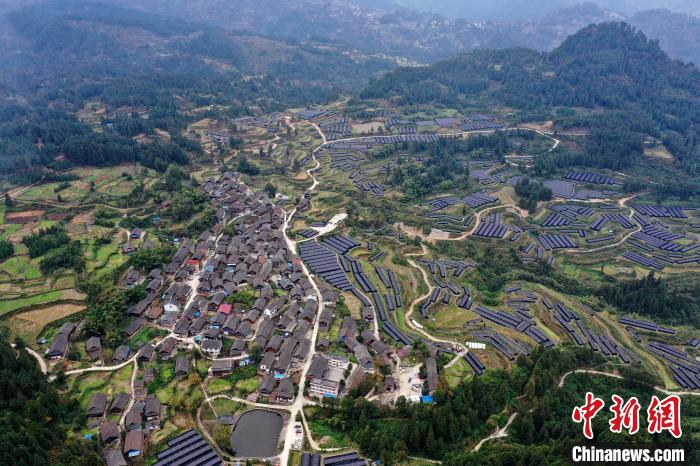 加禾村示范種植羊肚菌基地。 楊家孟 攝