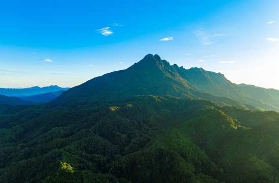 △海南五指山，薄霧清晨中一片蒼翠。（圖/視覺(jué)中國(guó)）
