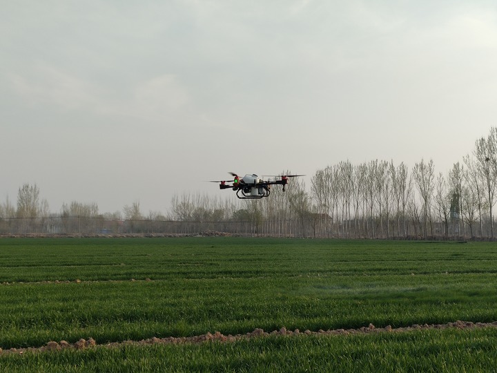 2022年4月4日，無人機在山東省惠民縣辛店鎮(zhèn)的一片麥田里作業(yè)。（受訪者供圖）