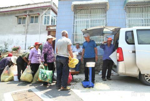 村民們將采摘的金銀花進(jìn)行稱重、裝車（央廣網(wǎng)記者唐磊 攝）
