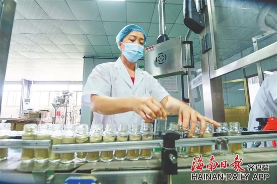 東昌胡椒加工廠的現(xiàn)代化胡椒生產(chǎn)線。（資料圖）