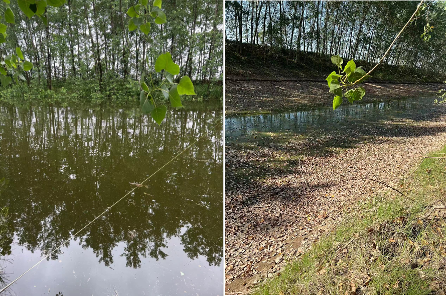 8月19日，湖北省荊州市江陵縣內(nèi)一處河段干枯前后對比。圖/受訪者提供