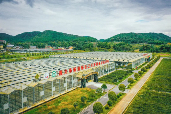 遵義新蒲新區(qū)辣椒育苗基地。 新蒲新區(qū)融媒體中心供圖
