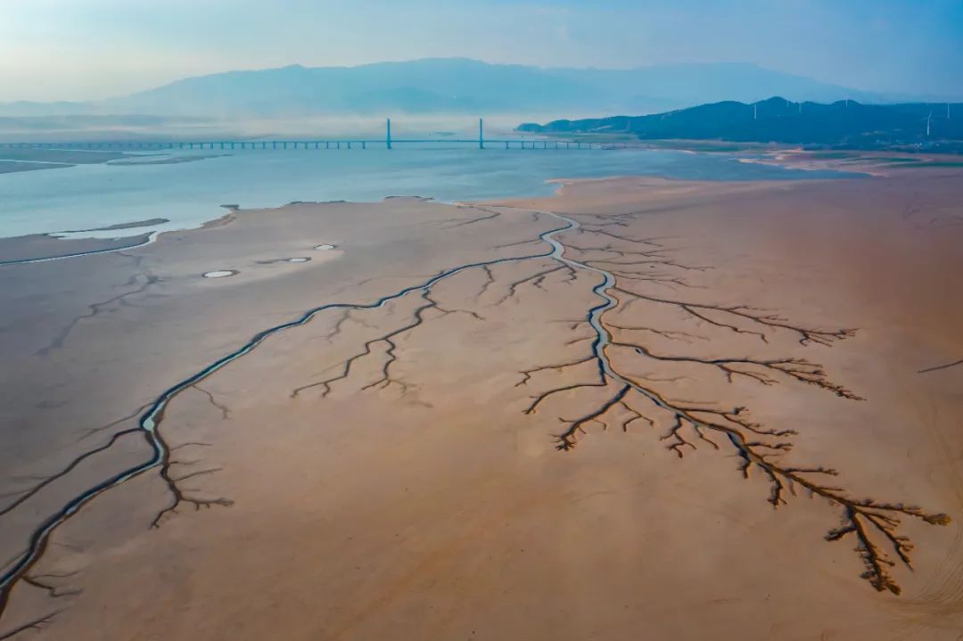 9月4日，都昌二橋一帶，湖床上殘存的水脈呈樹形。攝影：劉遠(yuǎn)慶