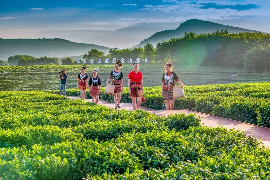 茶山小鎮(zhèn)