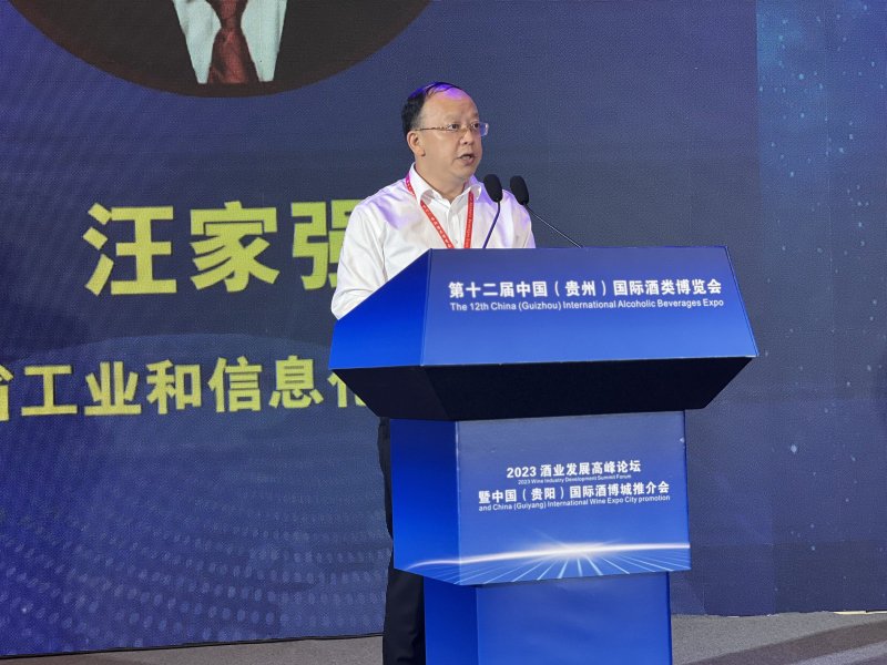 貴州省工業(yè)和信息化廳副廳長(zhǎng)汪家強(qiáng)致辭