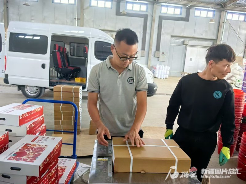  順豐快遞小哥正在給“喀什紅”水果番茄打包。劉俊杰攝